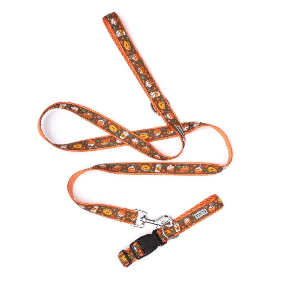 Pumpkin Spice Collar & Lead Collection