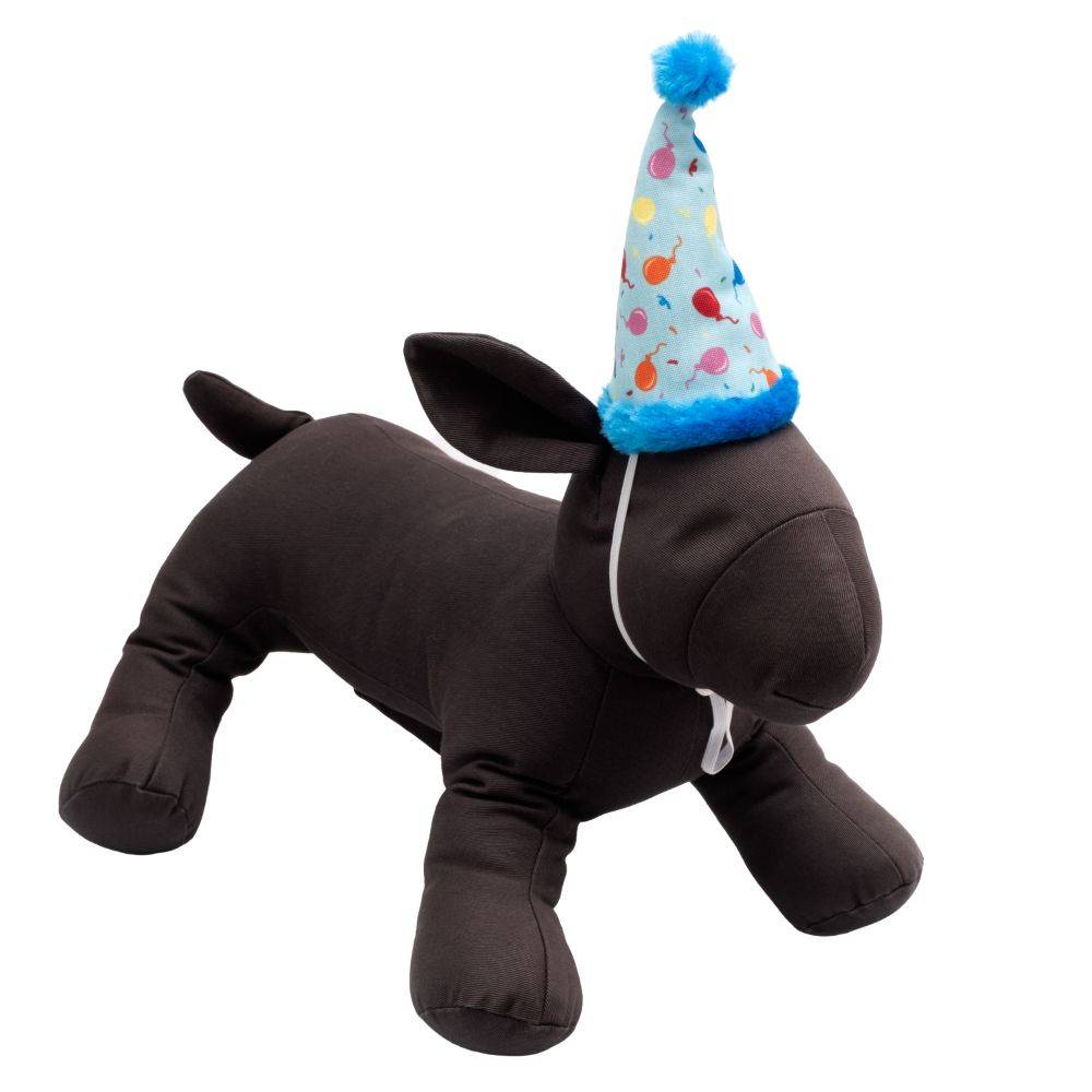 Blue Birthday Party Hat