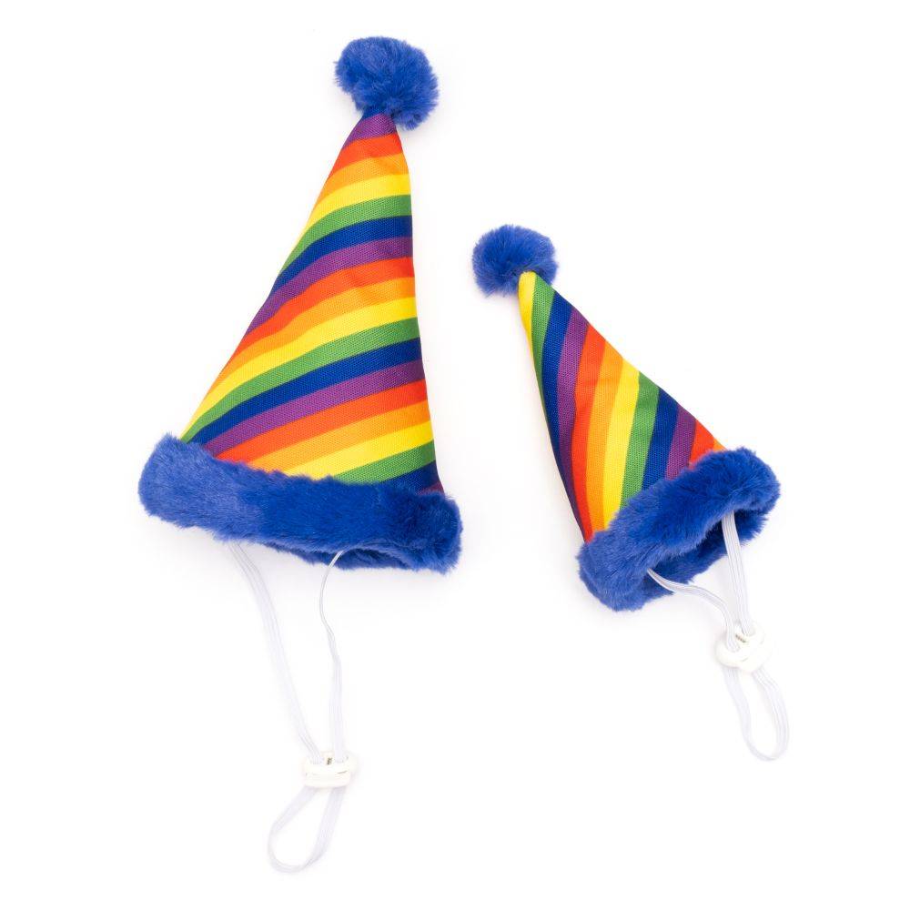 Pride Party Hat