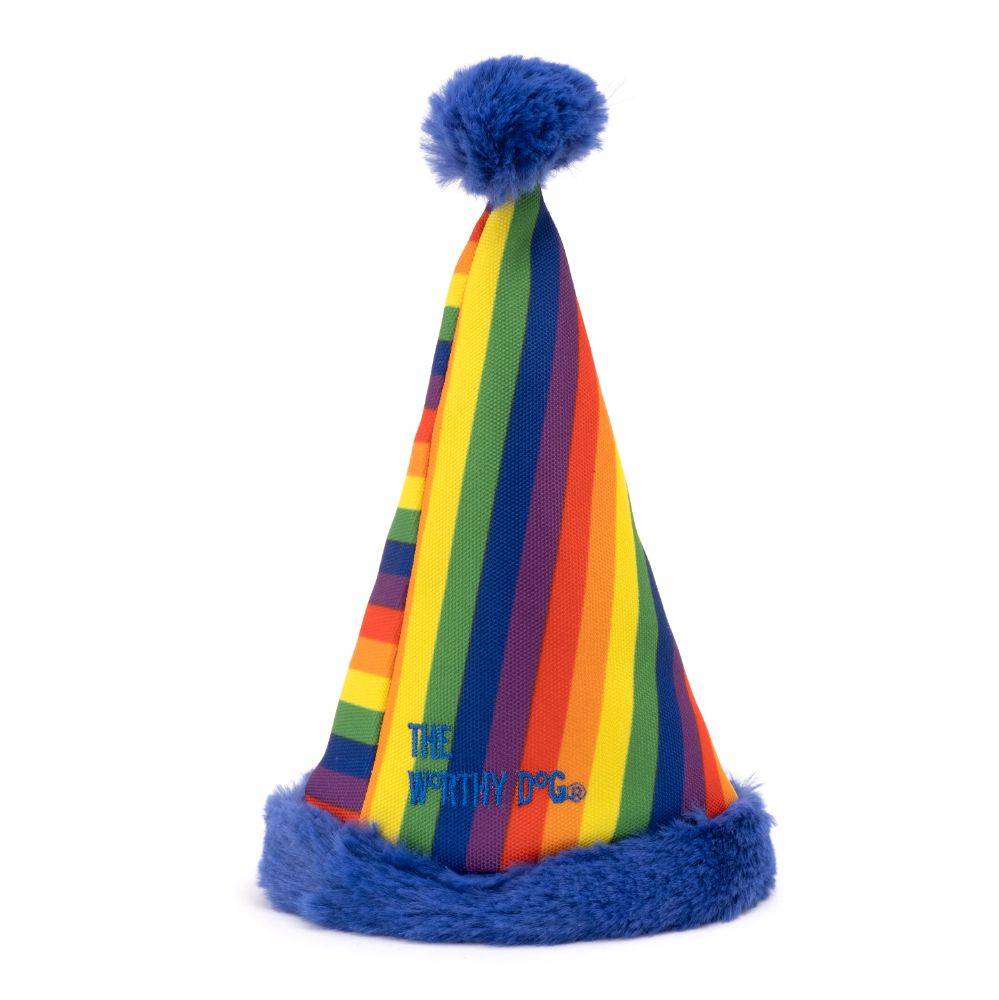 Pride Party Hat