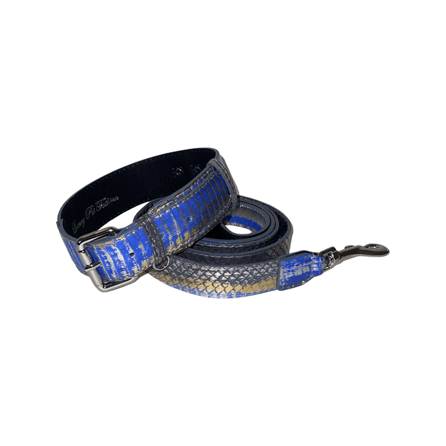 Stunning Multi-Color Blue/Silver/Gold Snake, Classic Collar & Leash Set With Silver Hardware