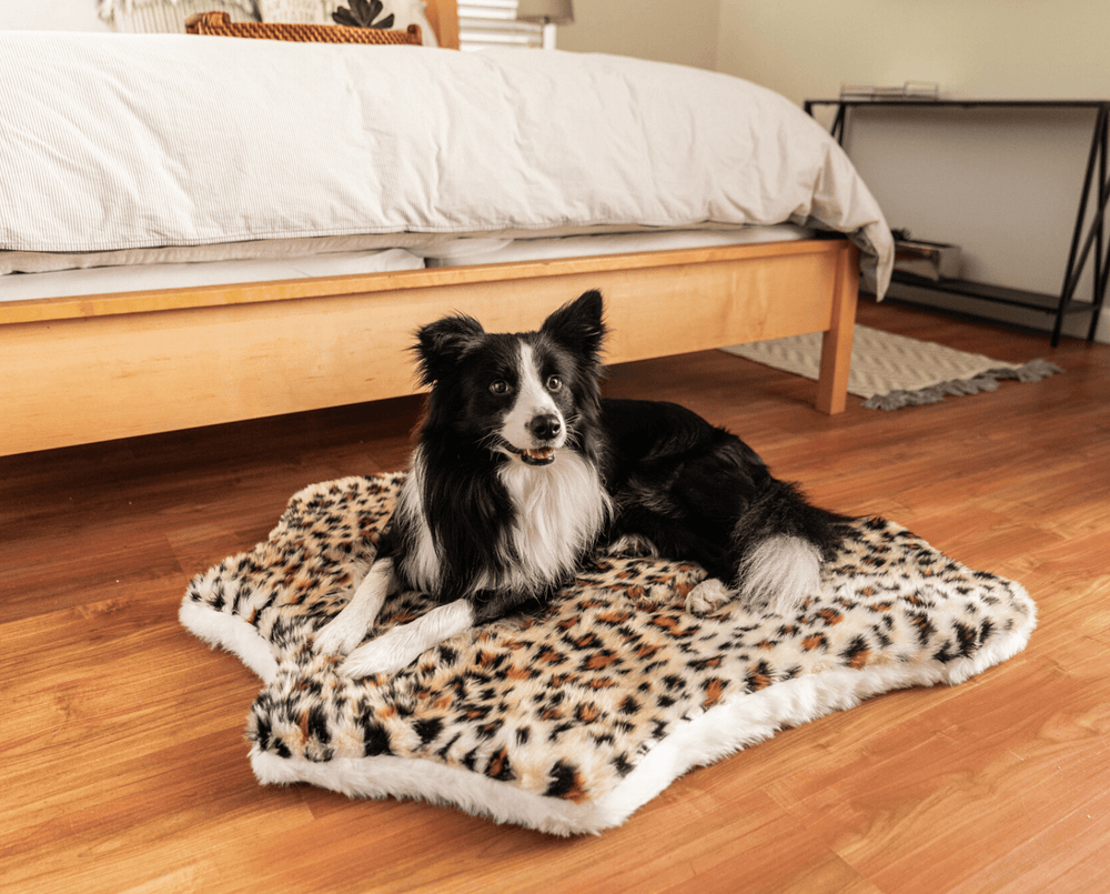 PupRug™ Animal Print Memory Foam Dog Bed - Cheetah Faux Print Paw.com
