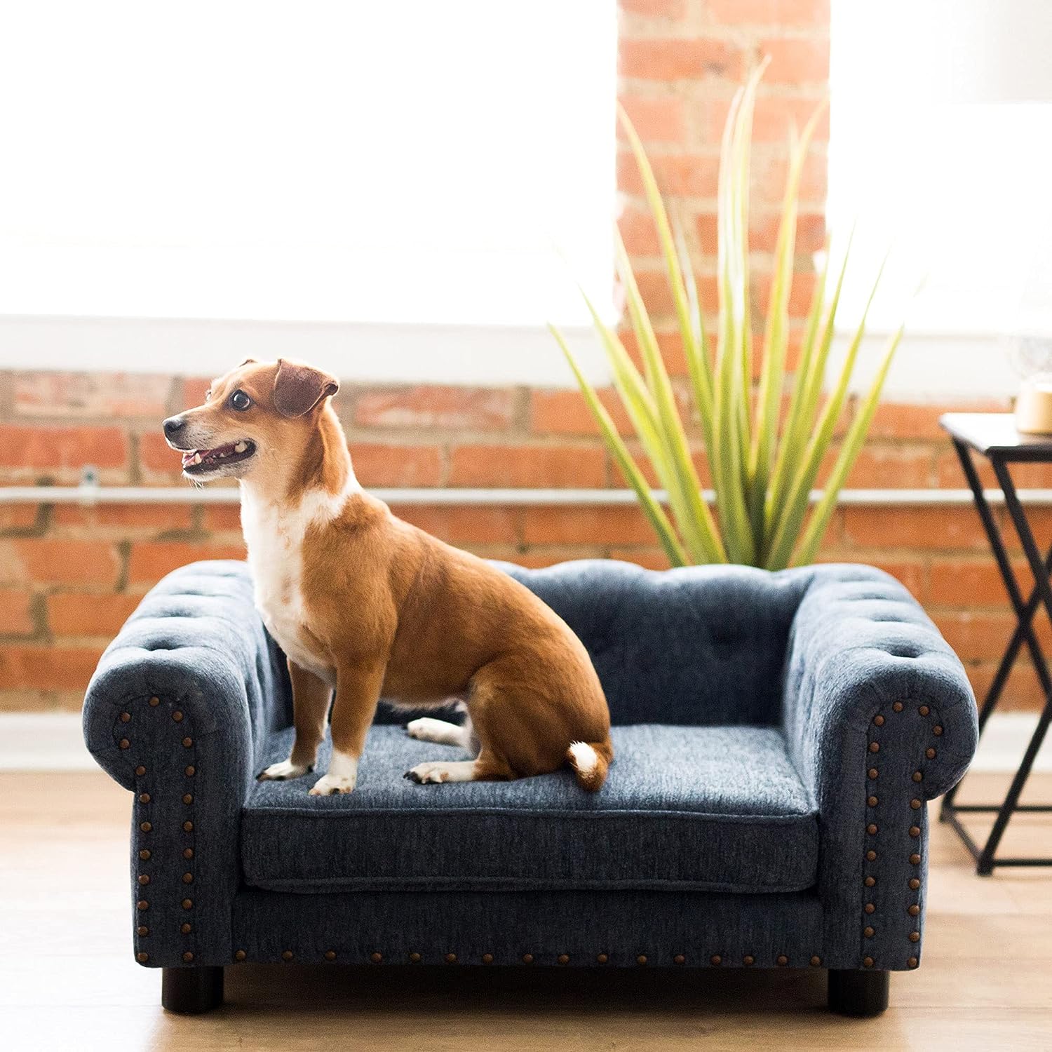 La-Z-Boy® Tuscon Sofa For Dogs