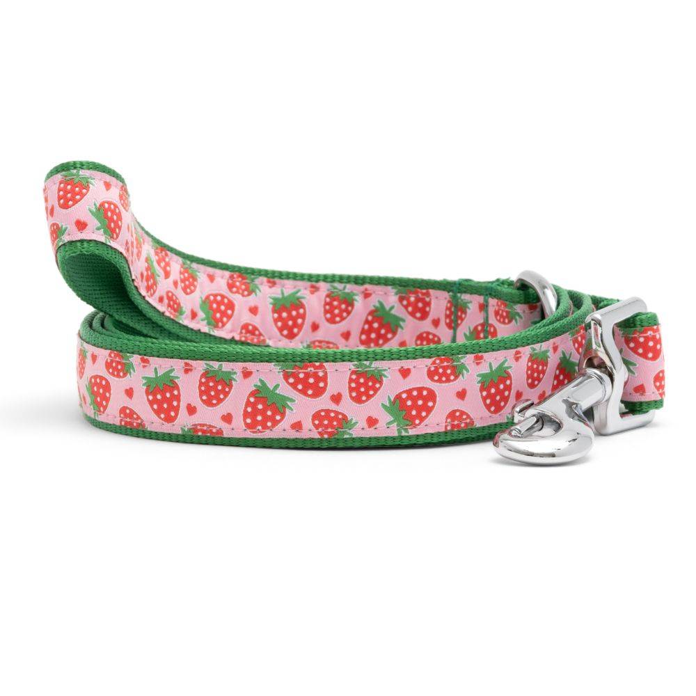 Strawberries Collar