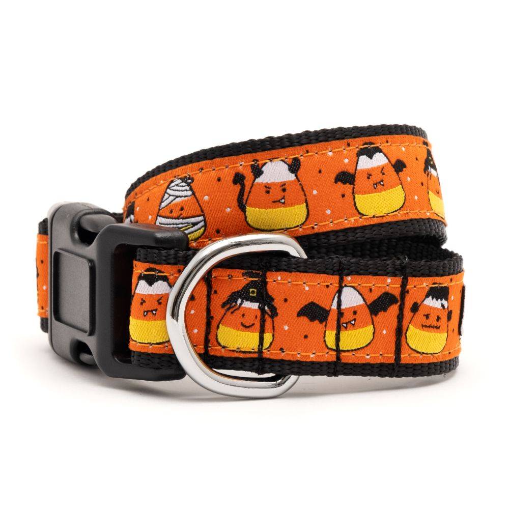 Orange Candy Corn Ghouls Collar