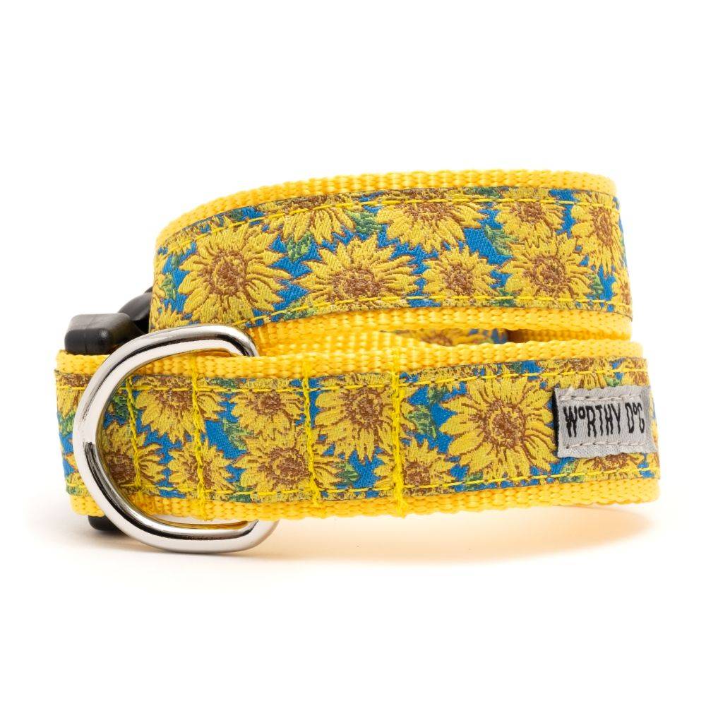 Blue Sunflowers Collar & Lead