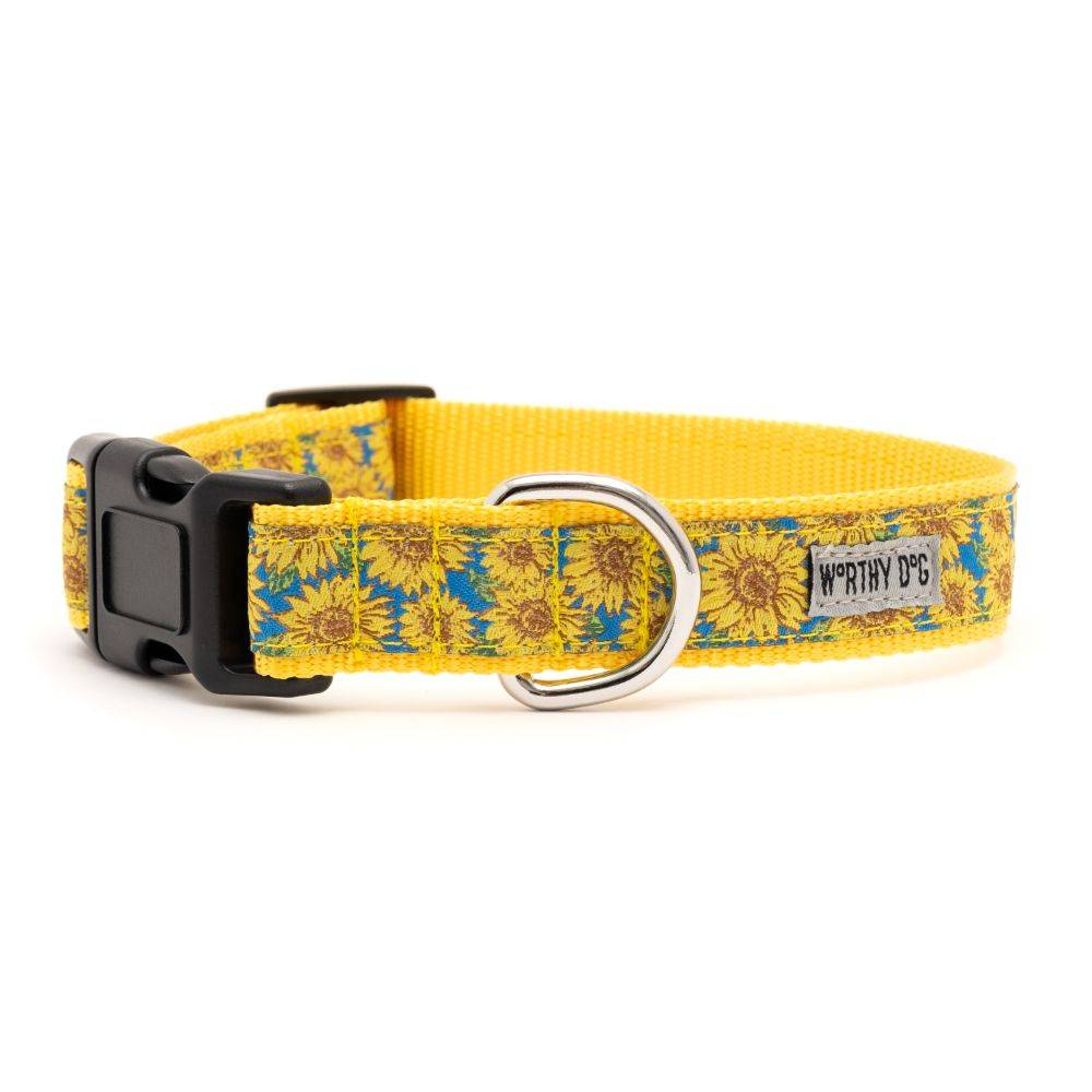 Blue Sunflowers Collar & Lead