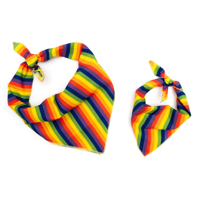 Multicolored Rainbow Bandana