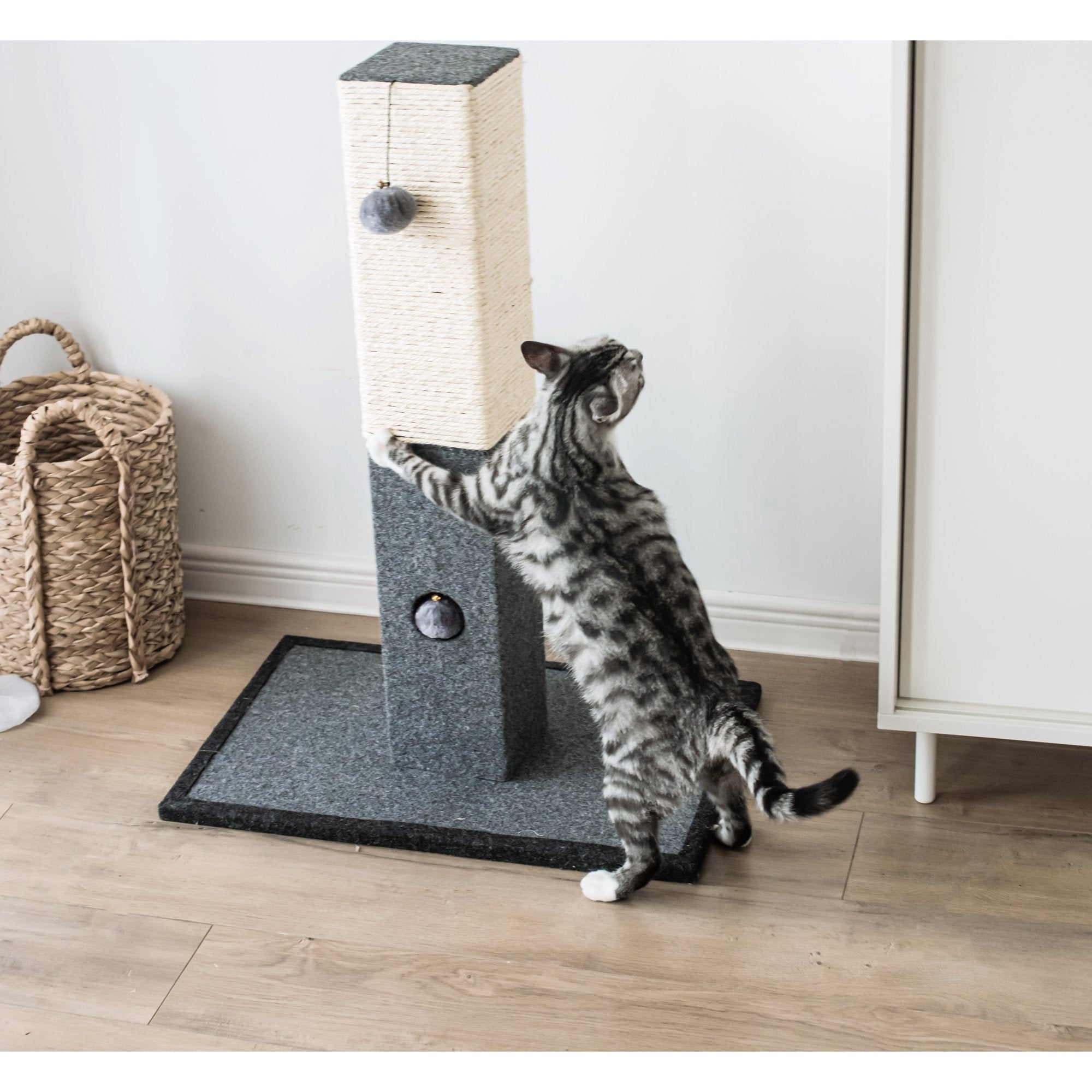 Natural Minimalist Cat Scratching Post