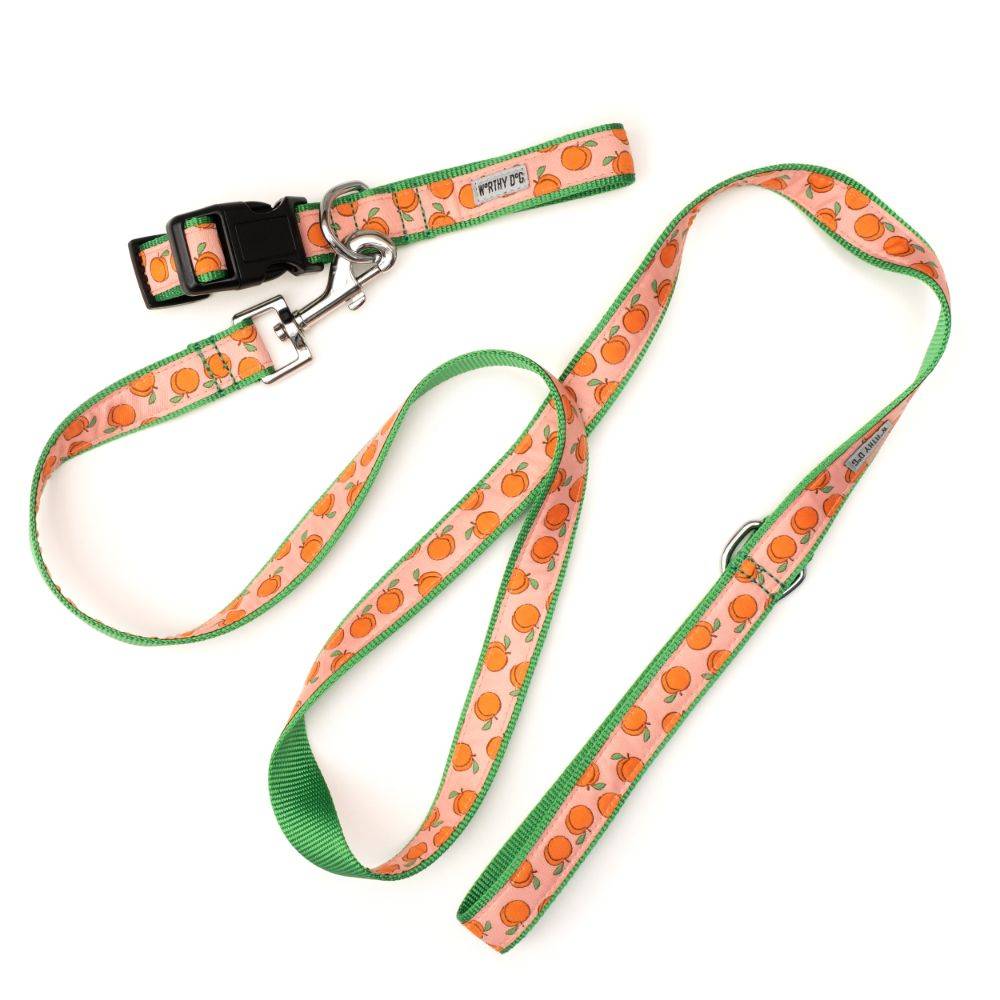 Peachy Keen Collar & Lead Collection