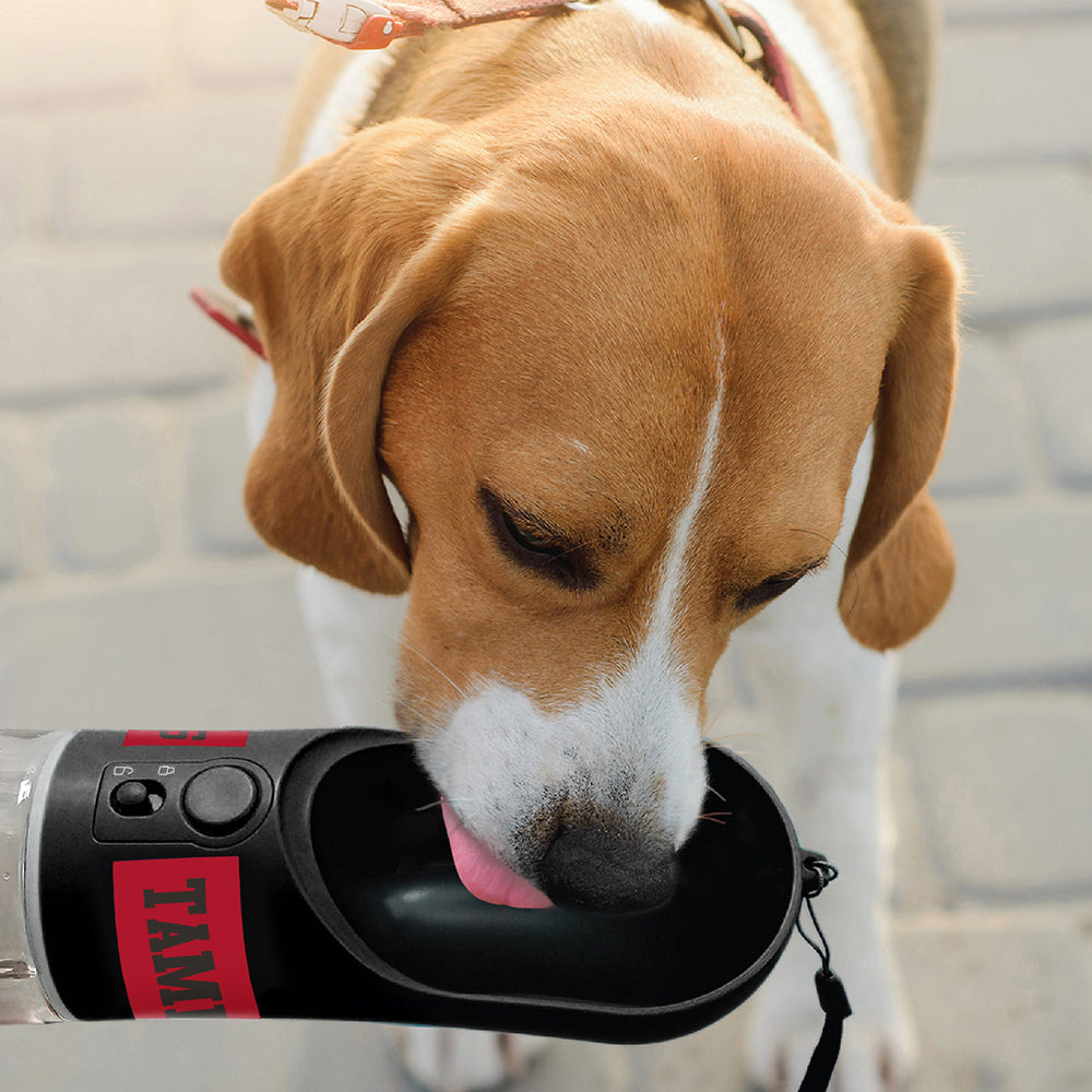 Tampa Bay Buccaneers Water Bottle by Pets First