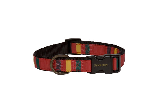 ranier national park hiker collar