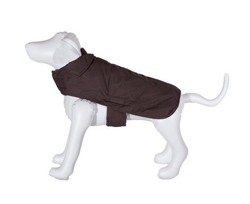 acadia national park dog coat