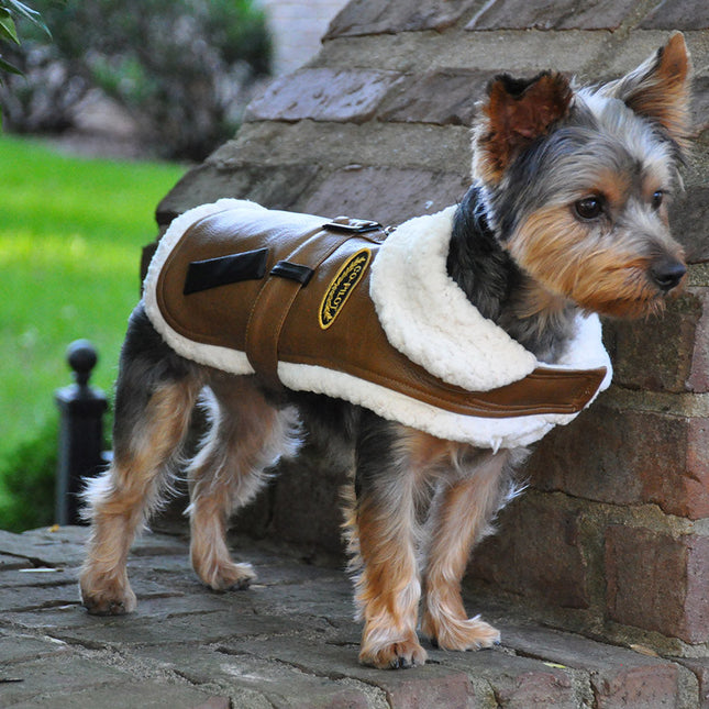 Designer Brown and Black Trim Vintage Bomber Coat & Leash