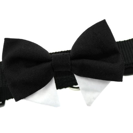 Universal Dog Bow Tie - Black with Starter Collar