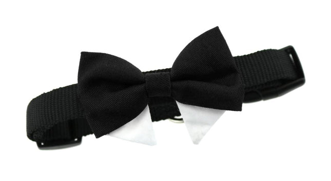 Universal Dog Bow Tie - Black with Starter Collar