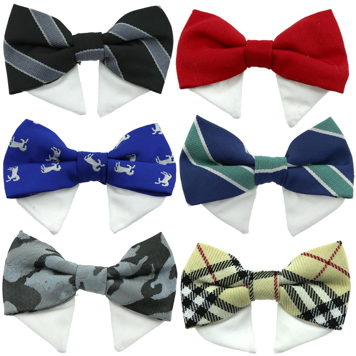 Universal Dog Bow Tie - Black with Starter Collar