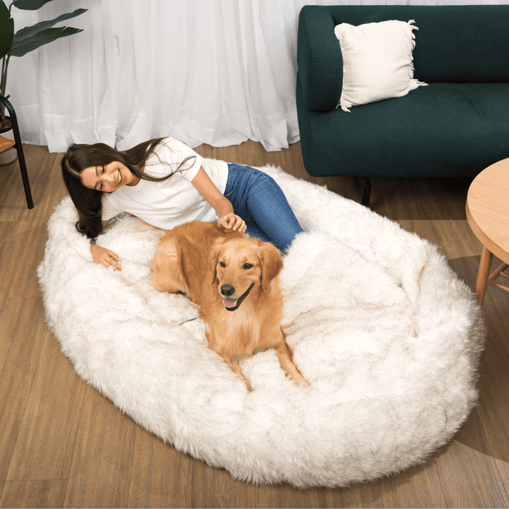 PupCloud™ Human-Size Faux Fur Memory Foam Dog Bed - White with Brown Accents