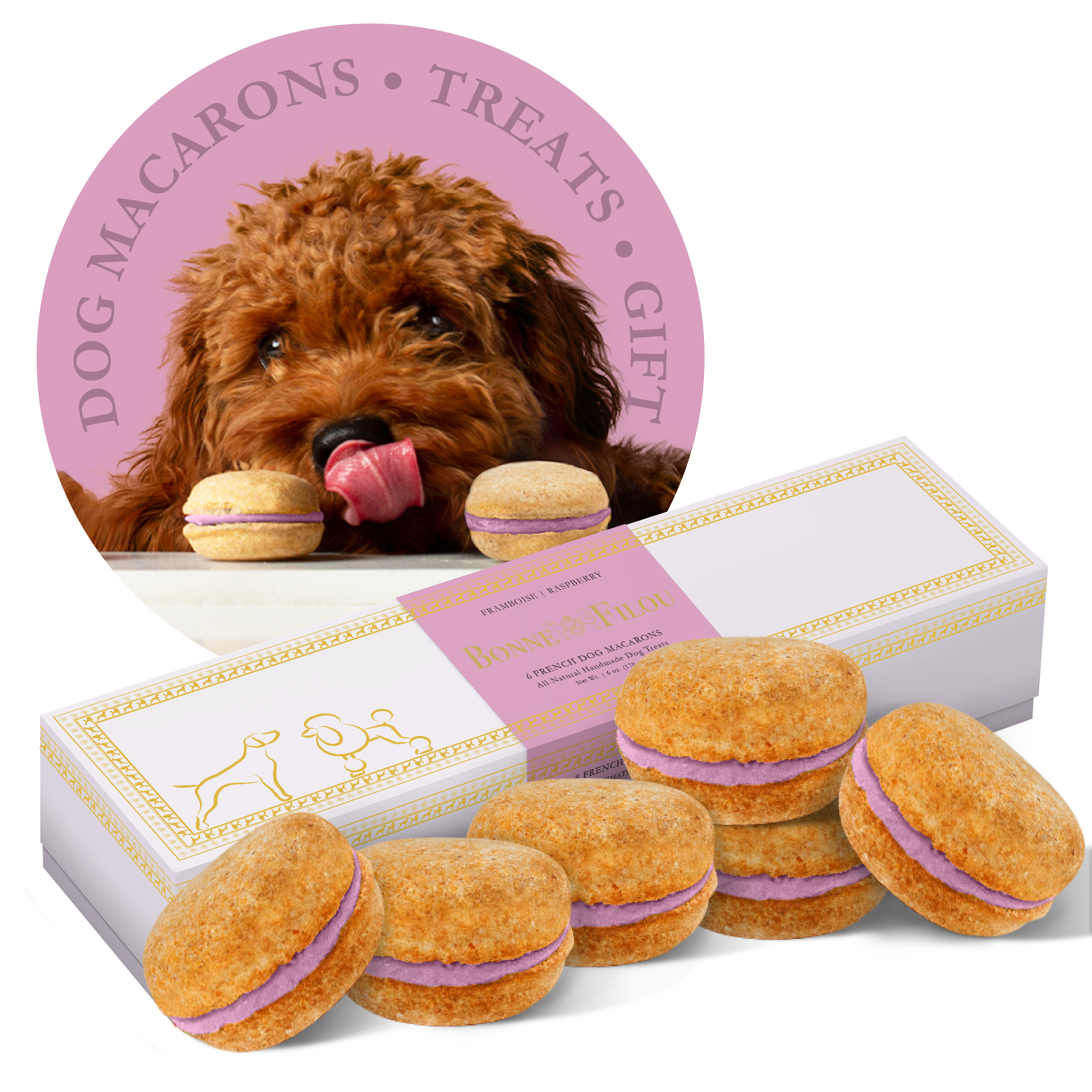 Dog Macarons (Box of 6) Raspberry