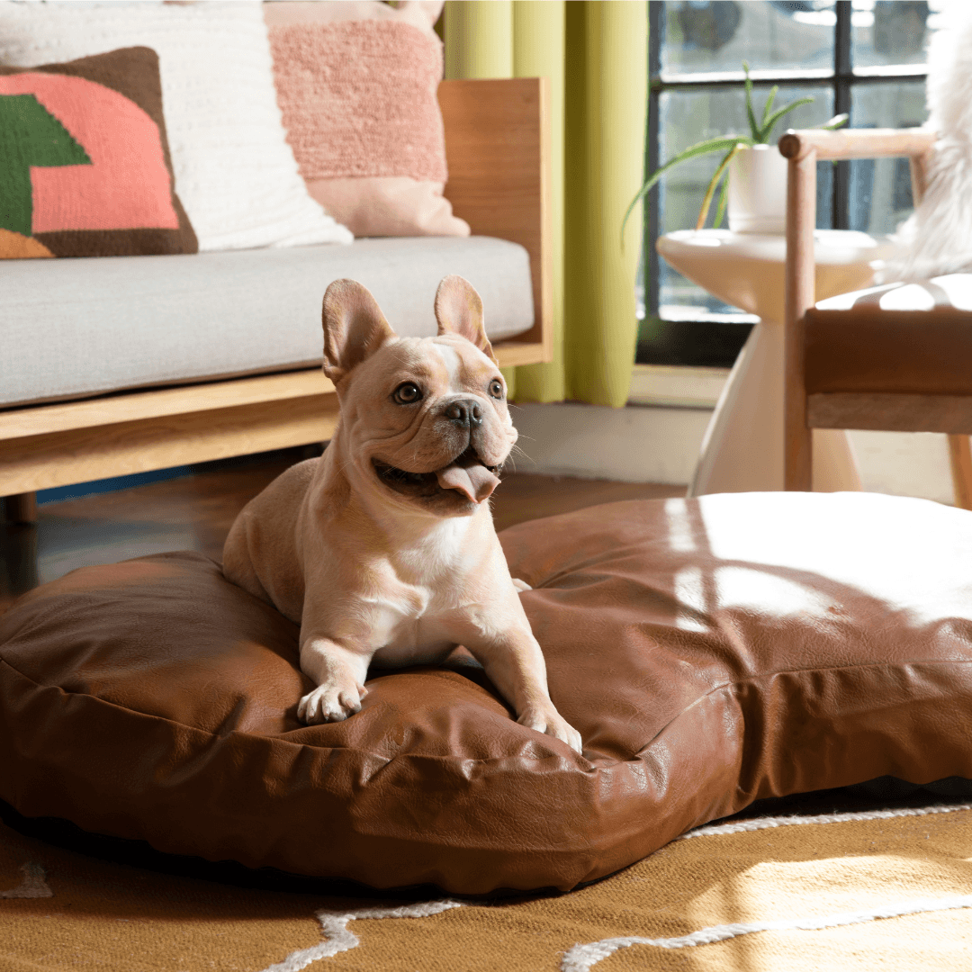 PupCloud™ Faux Leather Memory Foam Dog Bed - Bourbon