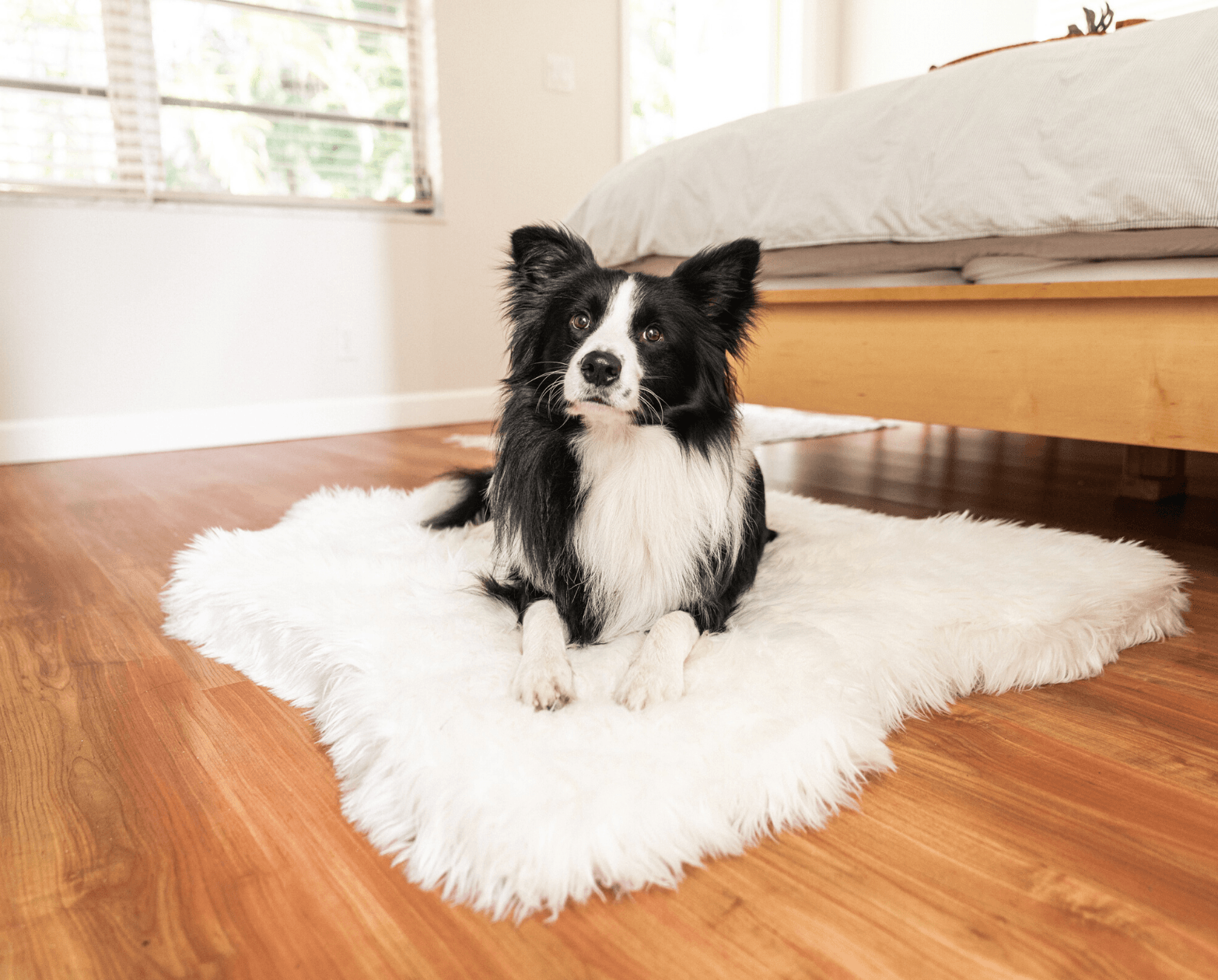 PupRug Animal Print Memory Foam Dog Bed - Polar Bear Faux Hide