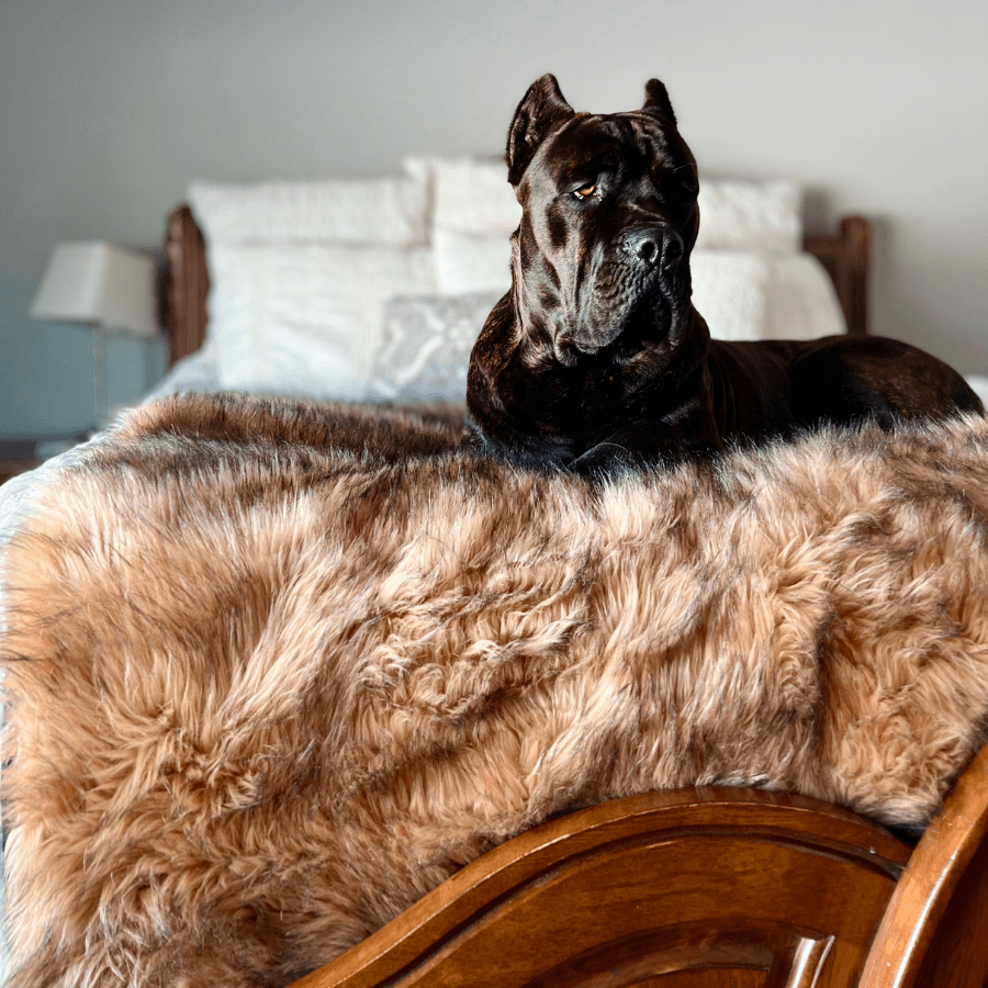 PupProtector Waterproof Throw Blanket - Sable Tan