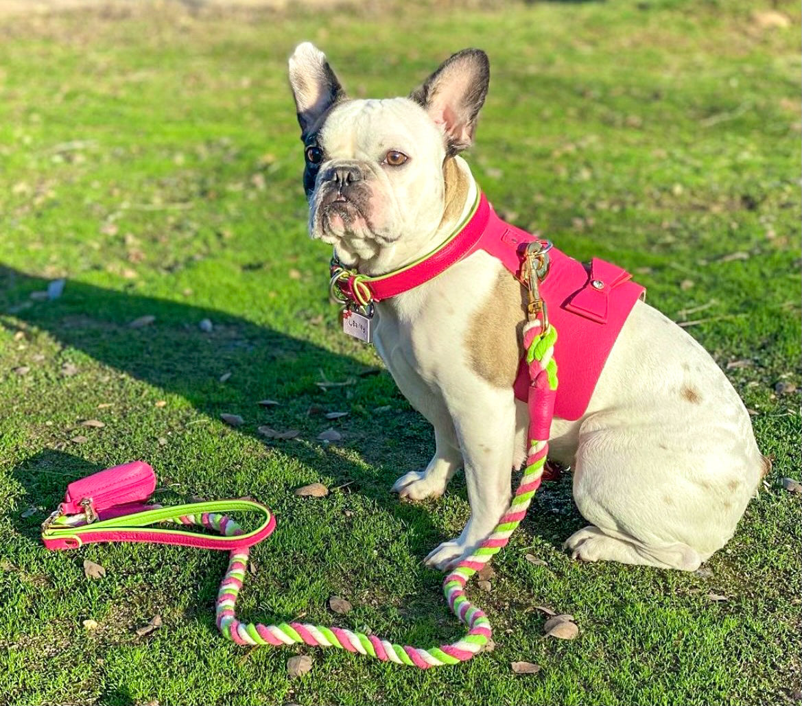 LEASH - CANDY SWIRL