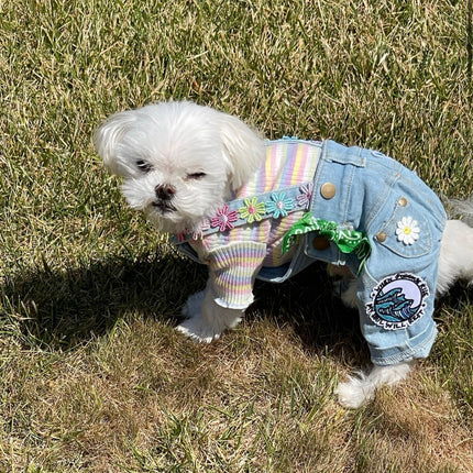 Summer Overalls