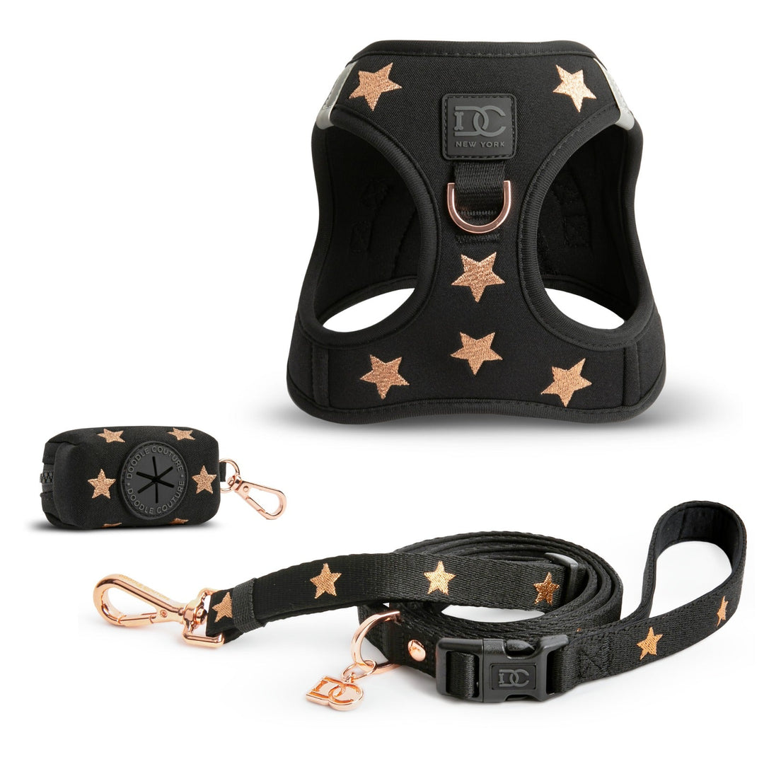 Secure-In-Place Dog Leash - Embroidered Rockstar