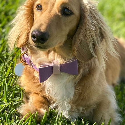 BOW TIE - LAVISH LAVENDER