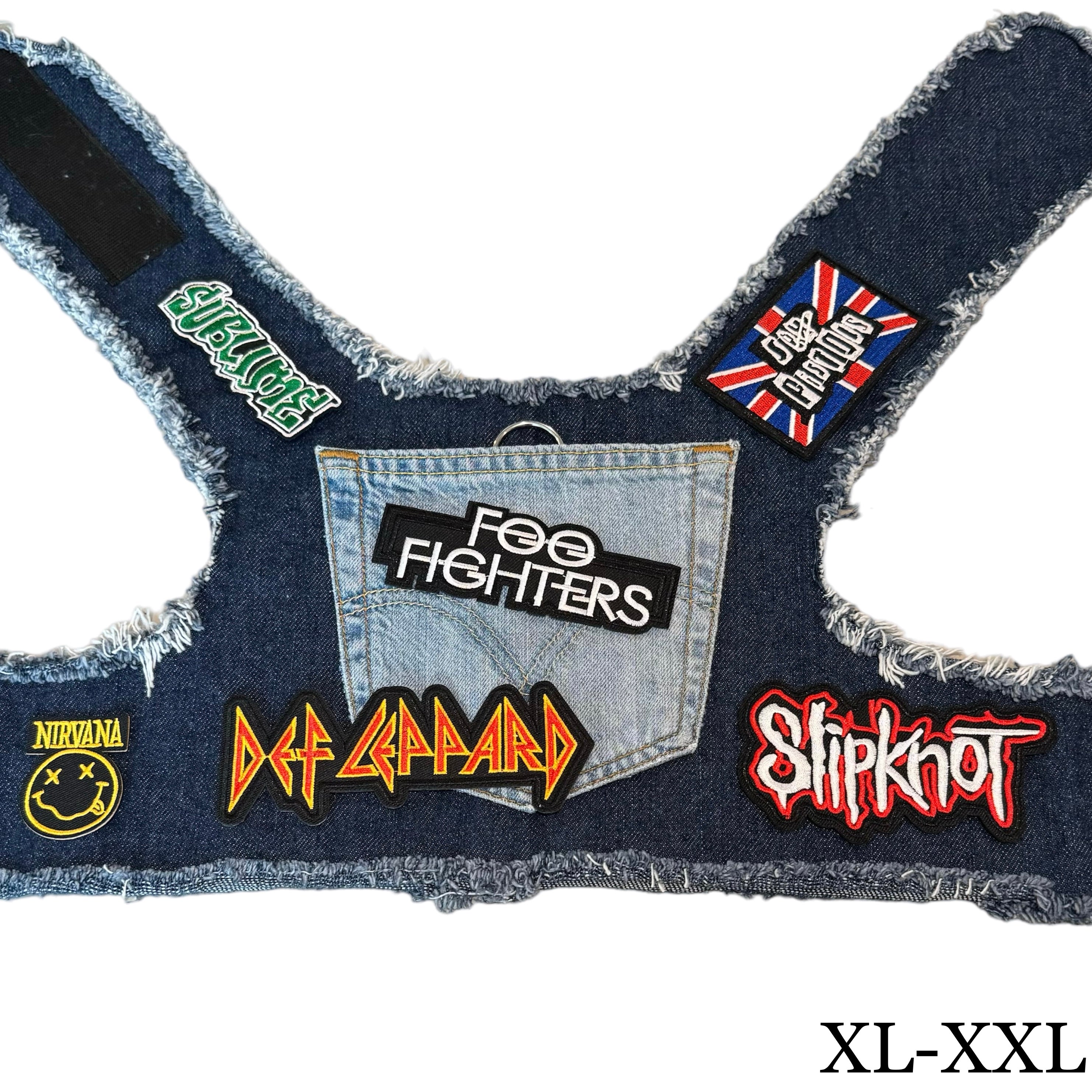 Foo Fighters Harness