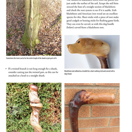 Carving Creative Walking Sticks and Canes