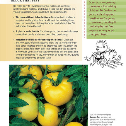 You Bet Your Garden Guide to Growing Great Tomatoes, Second Edition