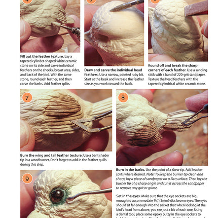 Complete Guide to Bird Carving