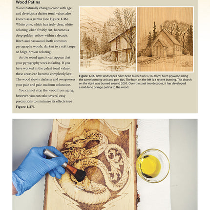 Great Book of Woodburning, Revised and Expanded Second Edition