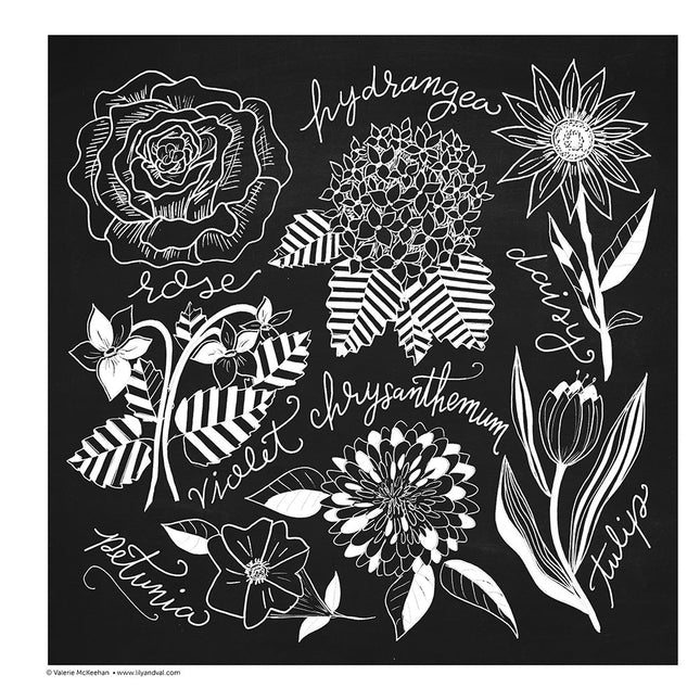 Chalk-Style Botanicals Deluxe Coloring Book