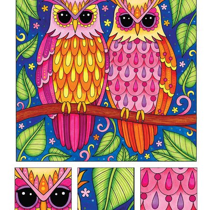 Groovy Owls Coloring Book