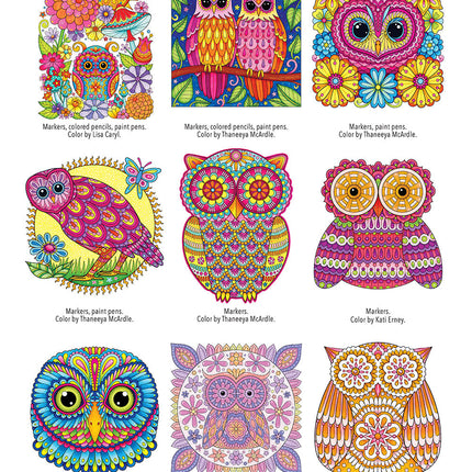 Groovy Owls Coloring Book