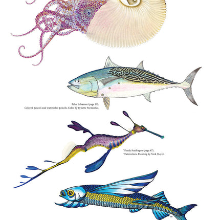 Wild Oceans Coloring Book