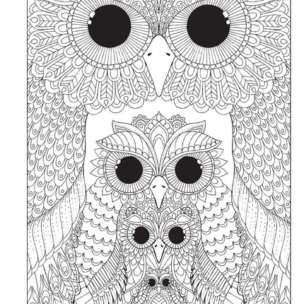 Hello Angel Owls Wild & Whimsical Coloring Collection