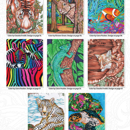 Hidden Animals Coloring Book