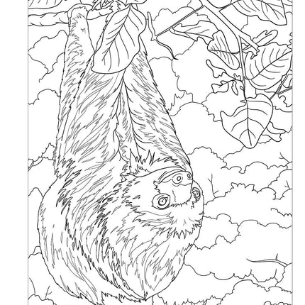 Hidden Animals Coloring Book