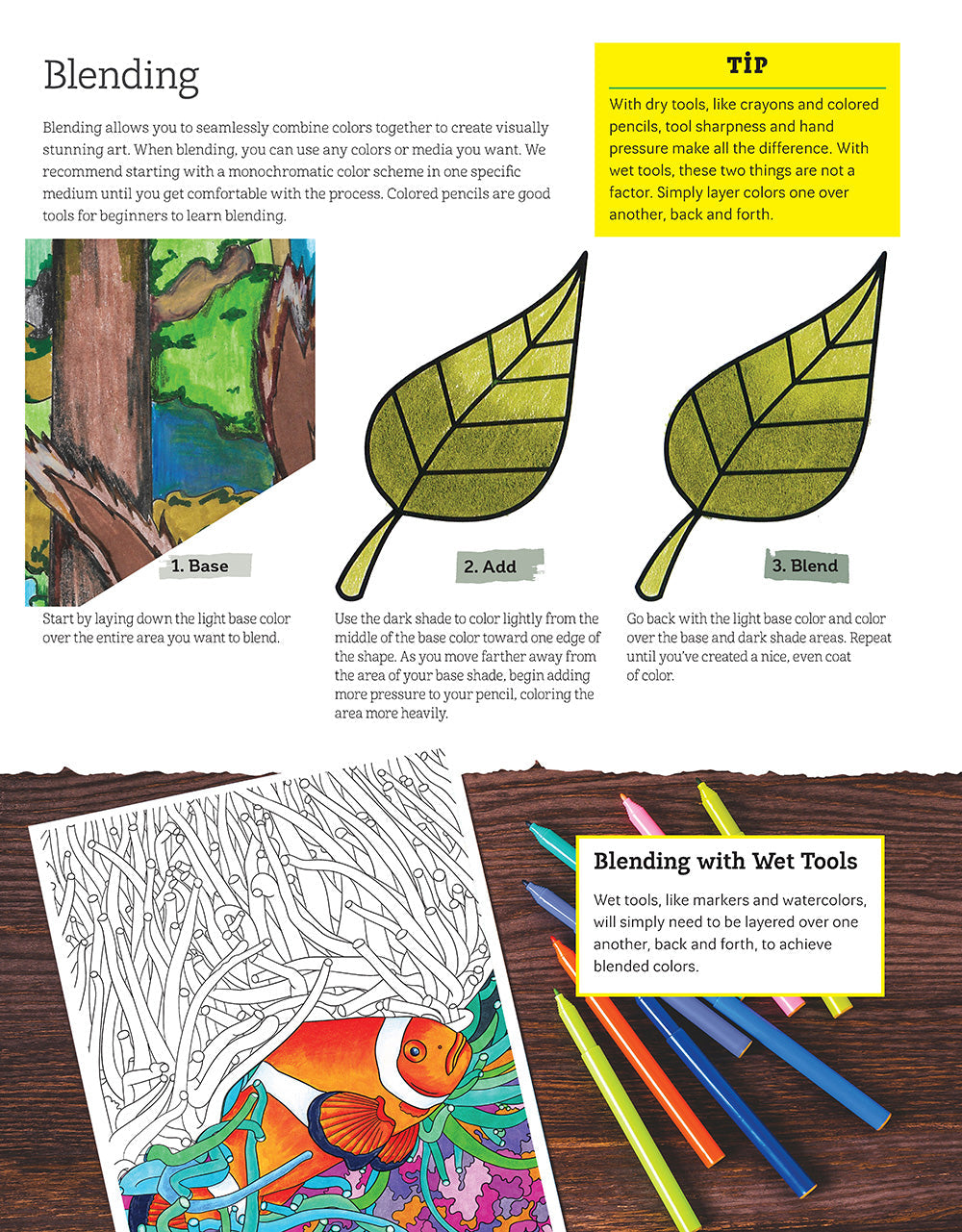 Hidden Animals Coloring Book