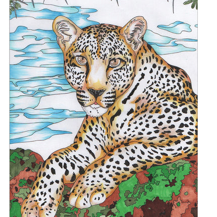 Hidden Animals Coloring Book