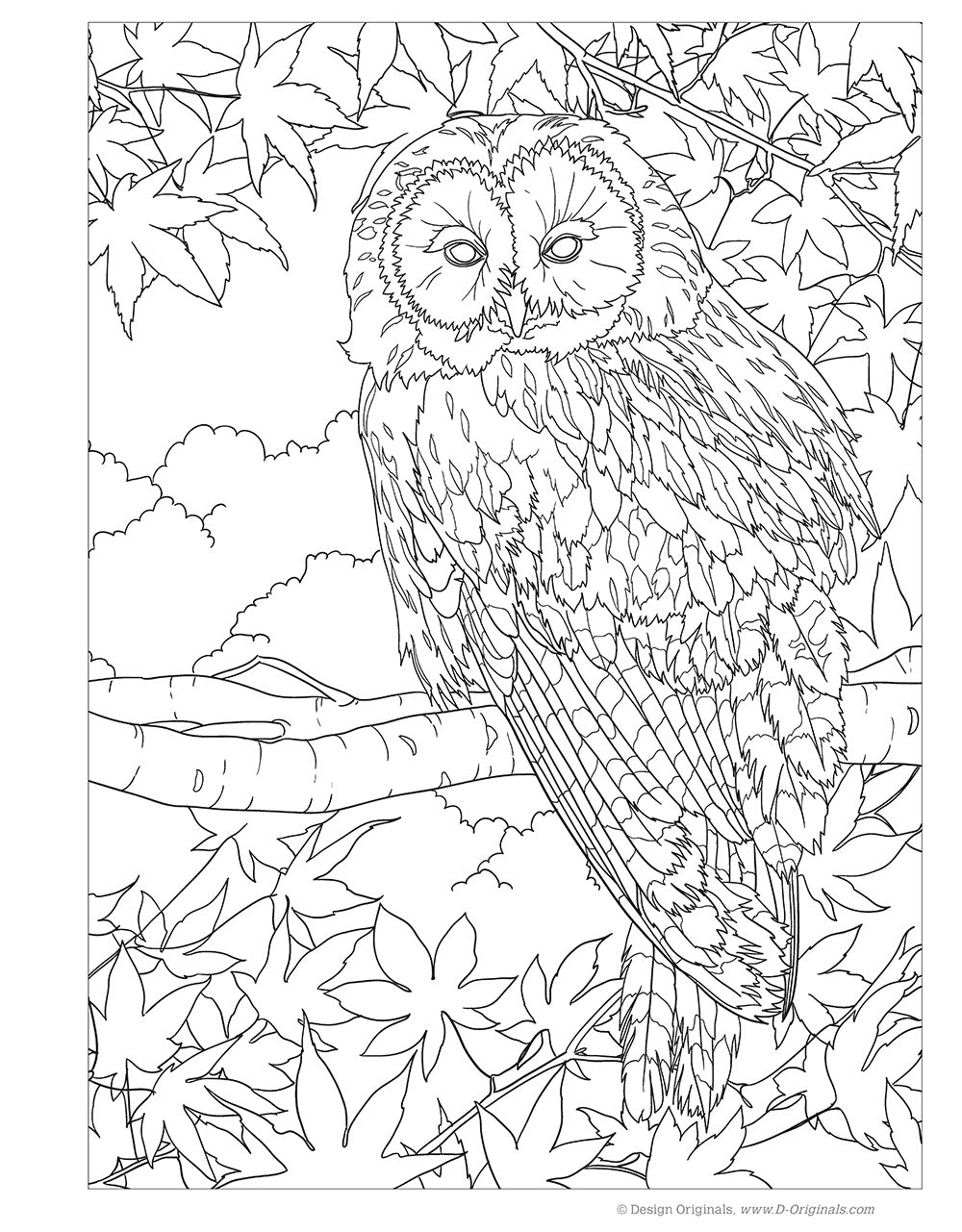 Hidden Animals Coloring Book