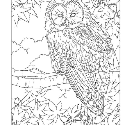 Hidden Animals Coloring Book