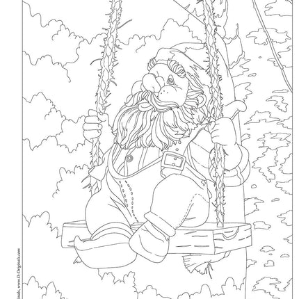 Garden Gnomes Coloring Book