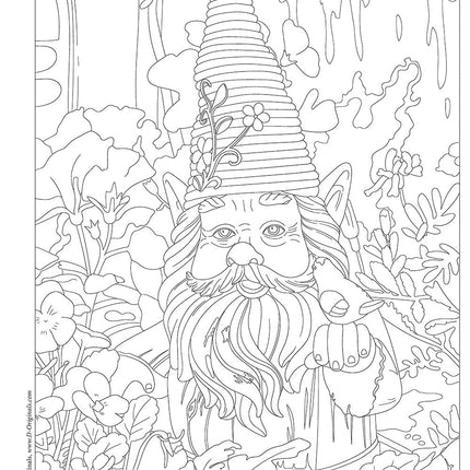 Garden Gnomes Coloring Book