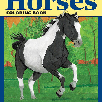 Horses Coloring Book