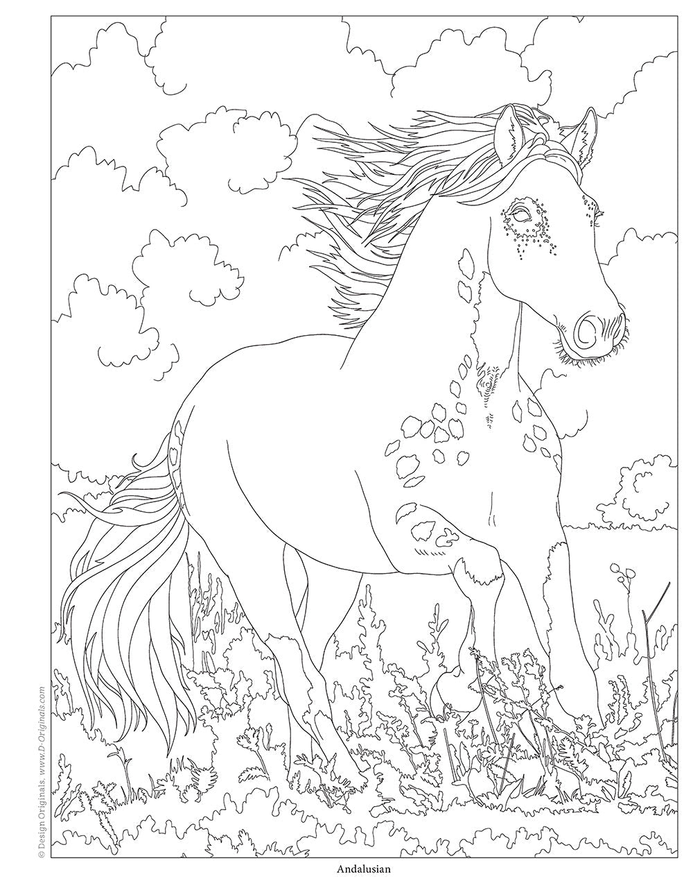 Horses Coloring Book